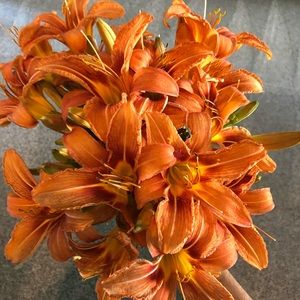 Meet your Posher, Monica